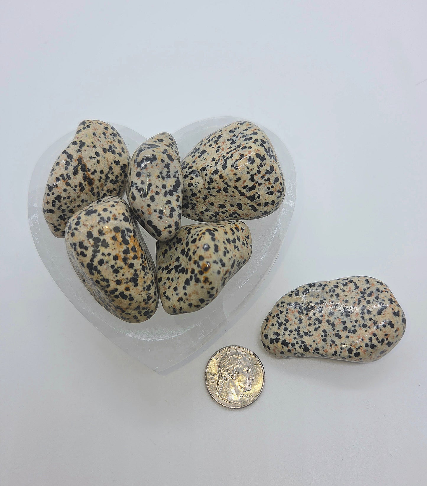 Dalmatian Stone (Jasper) Tumble