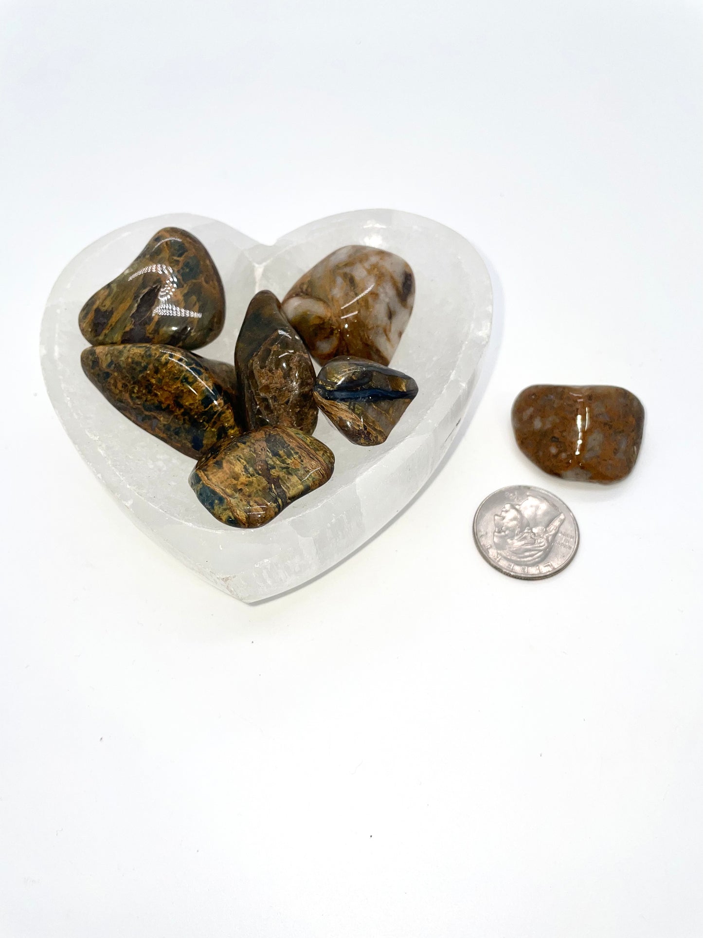 Tiger Eye, Lion's Mane Tumble
