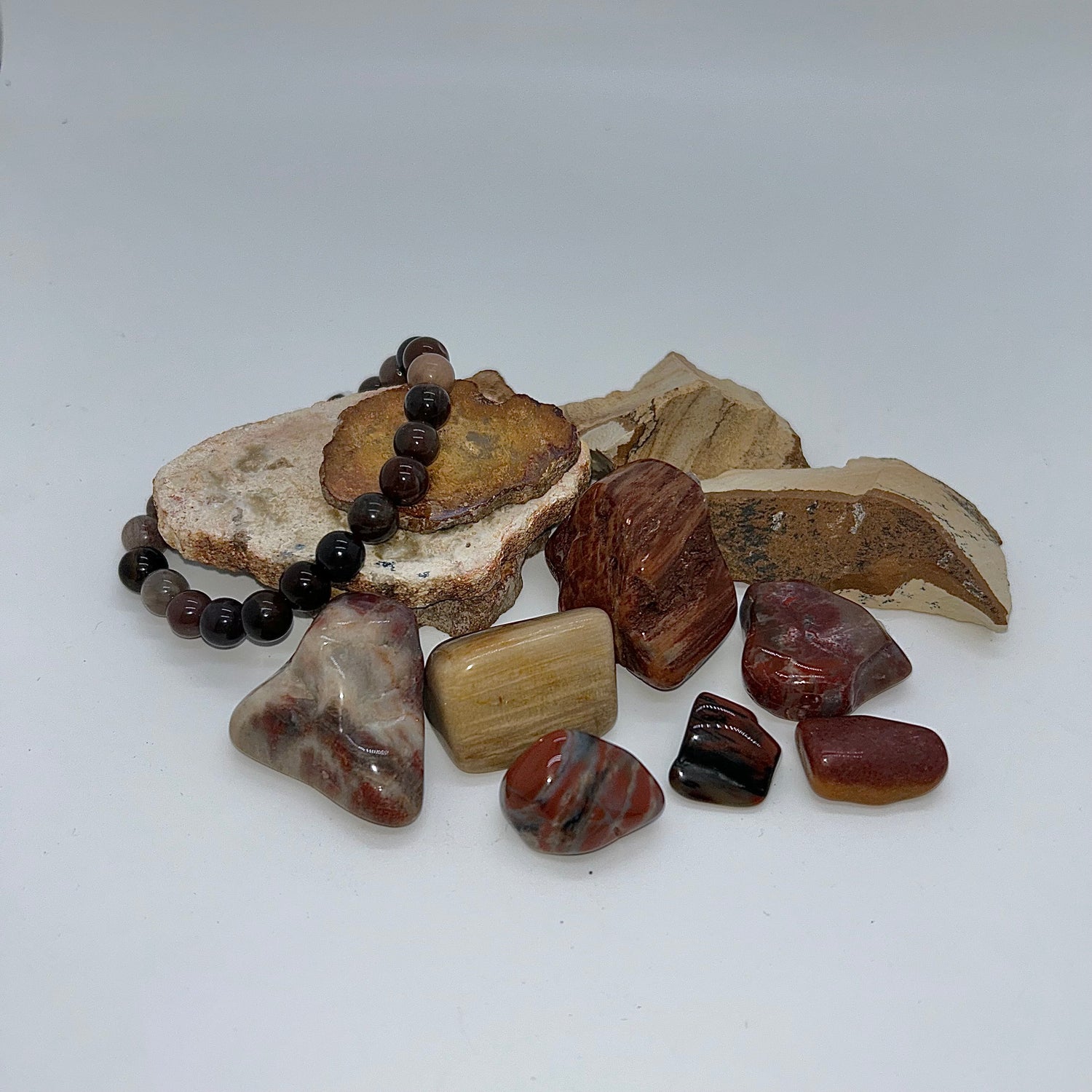 Petrified Wood