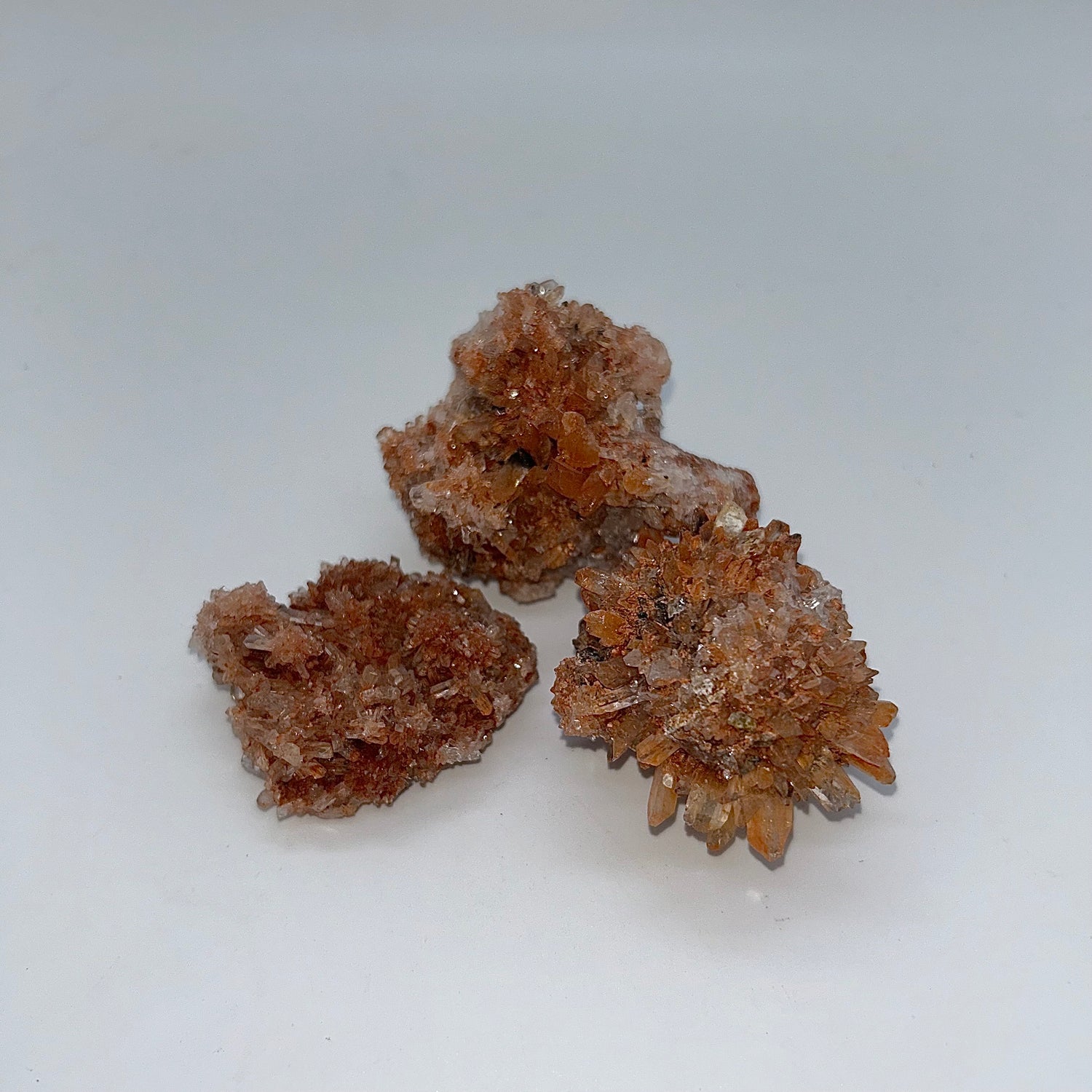 Creedite