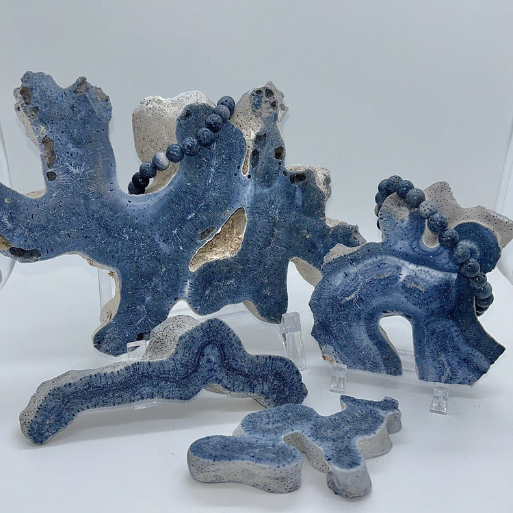 Coral, Blue