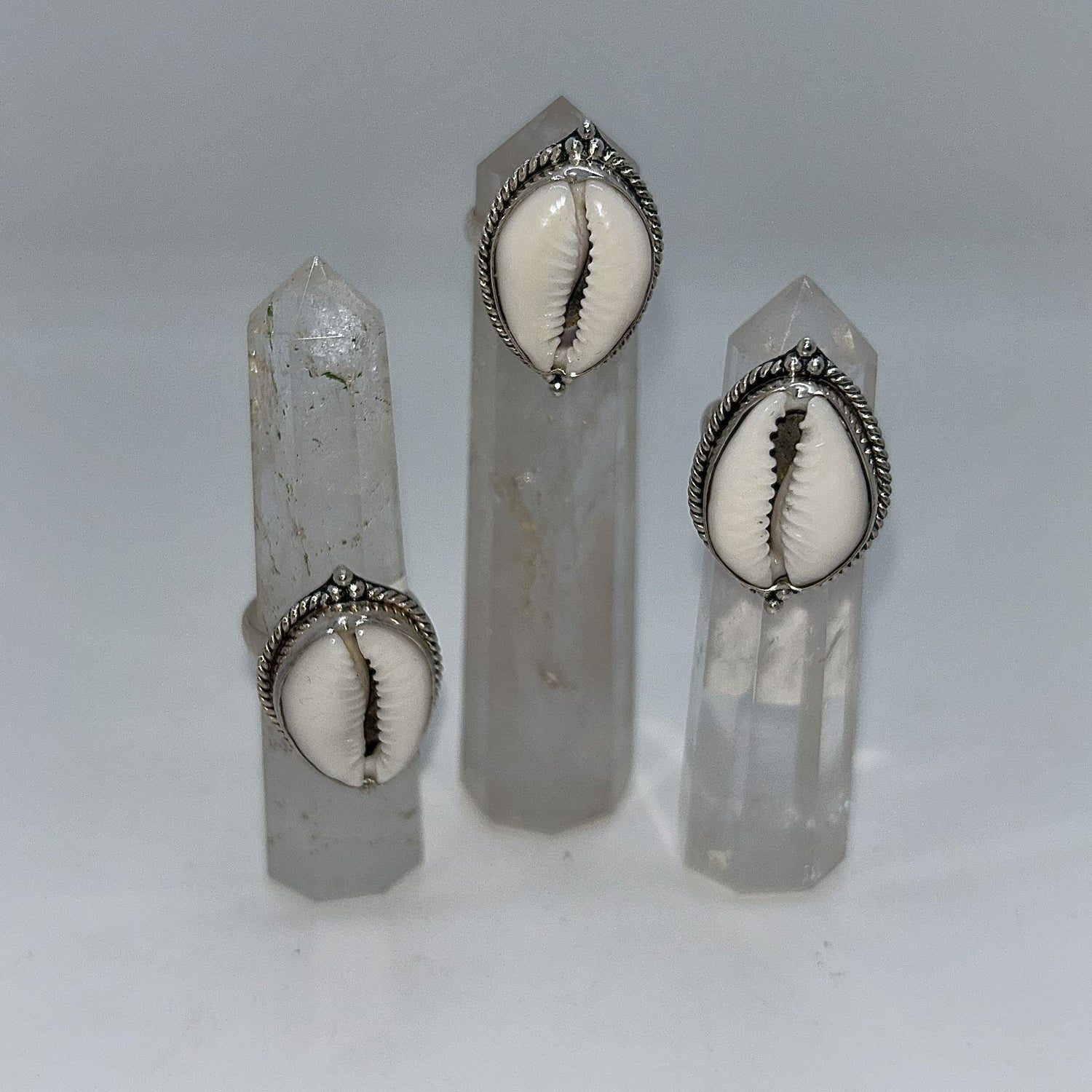 Cowrie (Shell)