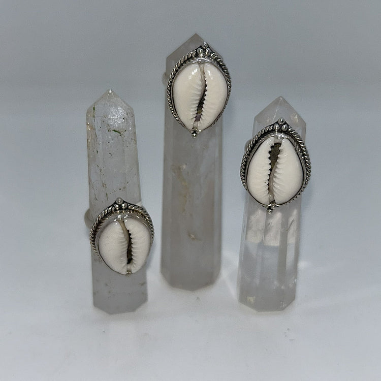 Cowrie (Shell)
