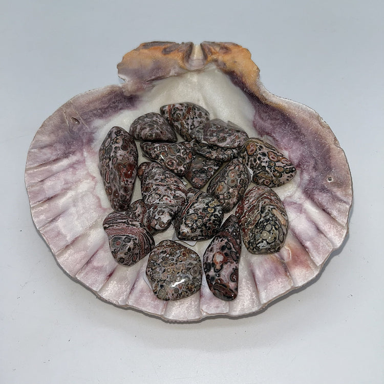 Jasper, Orbicular (Leopard Skin)
