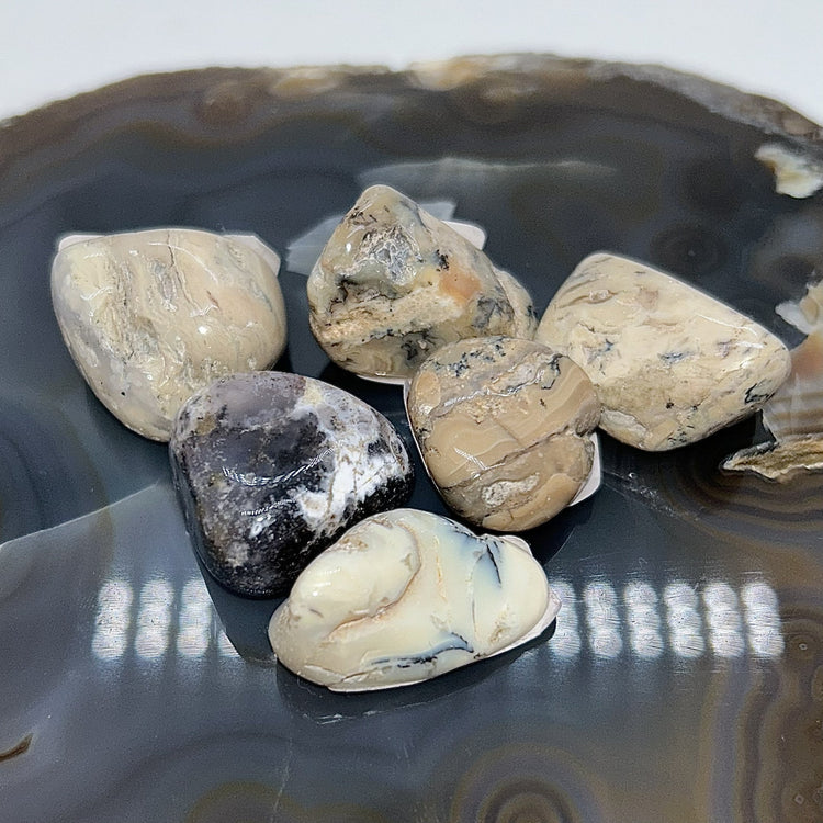 Opal, White