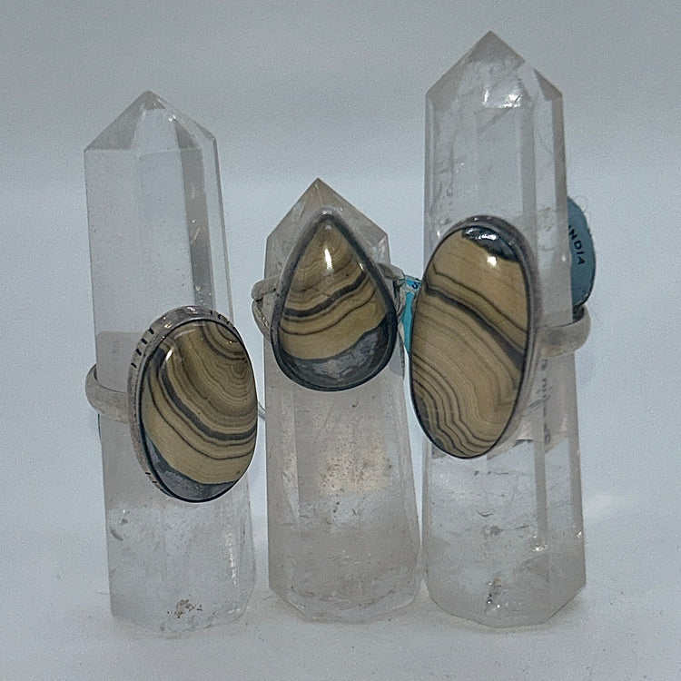 Schalenblende