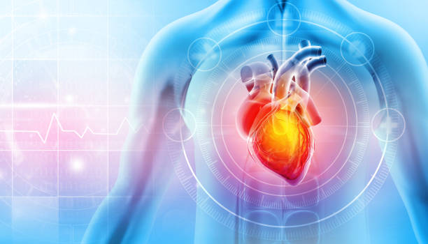 Cardiovascular Diseases