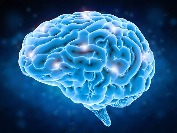 Cerebral Cortex Issues