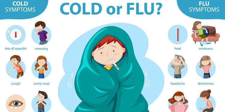 Flu/Colds