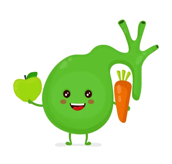 Gallbladder