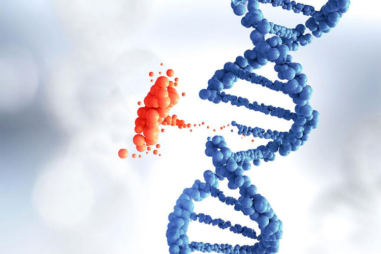 Genetic Diseases