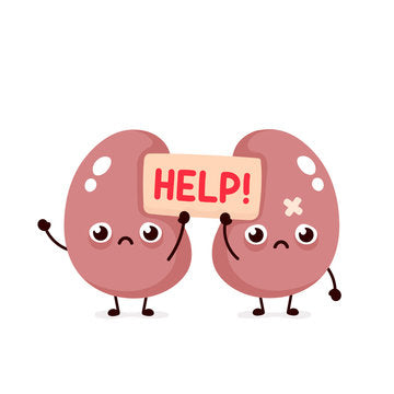 Kidney Issues