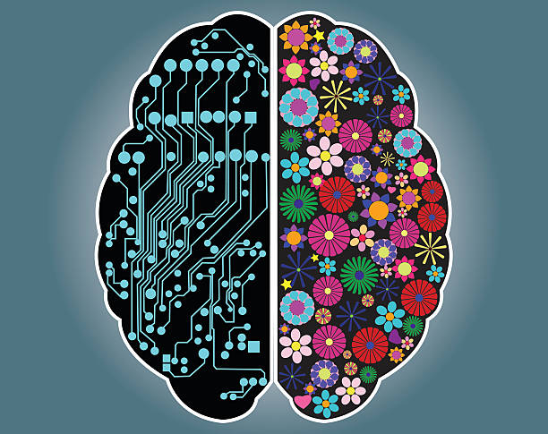 Left-Right Brain