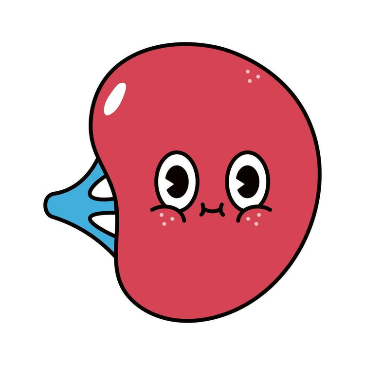 Spleen Issues