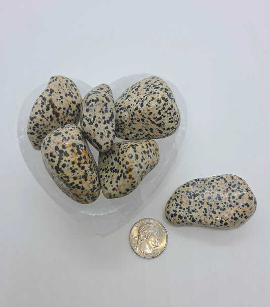 Dalmatian Stone (Jasper) Tumble