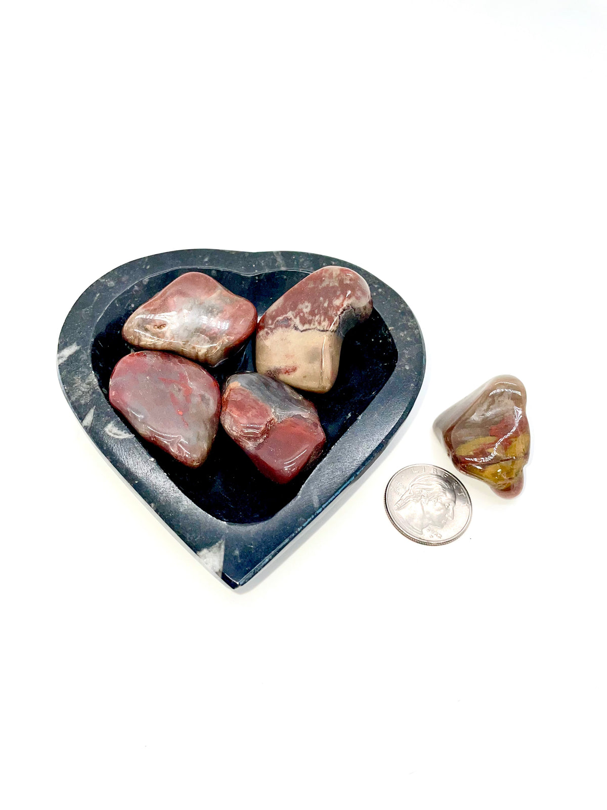 Petrified Wood Arizona Tumble