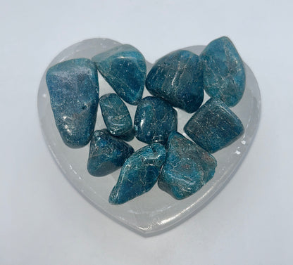 Apatite Blue Md