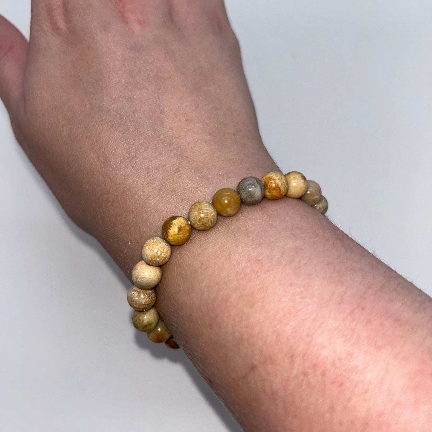 Coral Fossil Agate 8mm