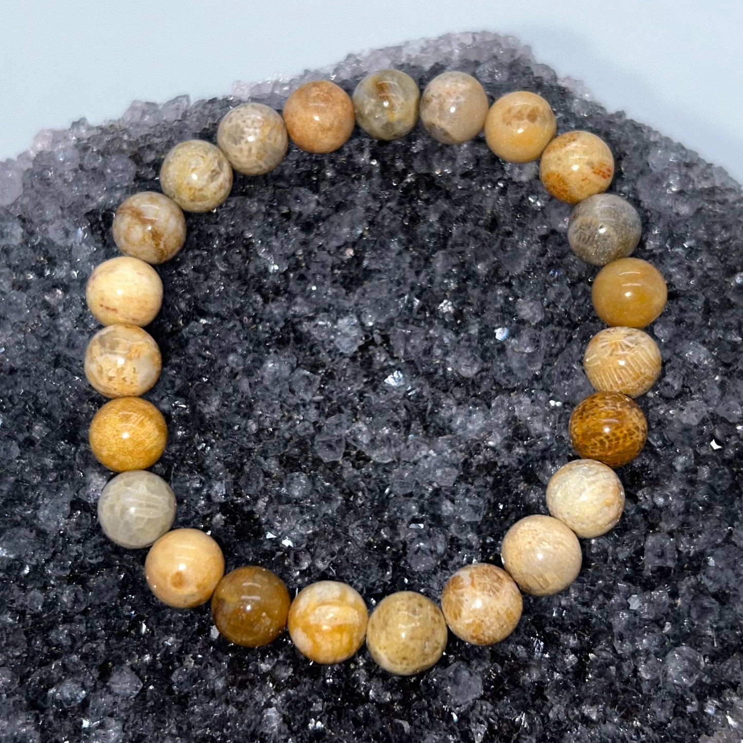 Coral Fossil Agate 8mm
