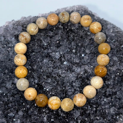 Coral Fossil Agate 8mm