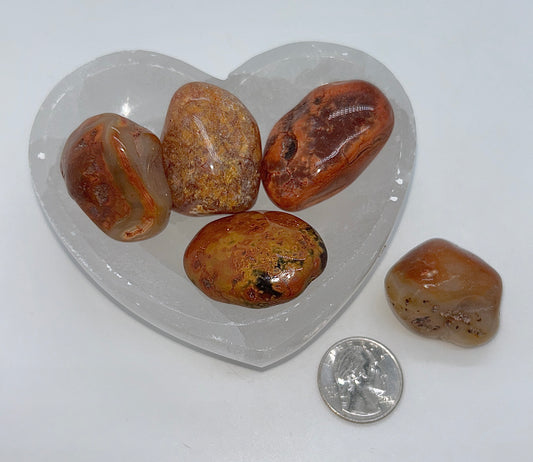 Carnelian Agate Tumble