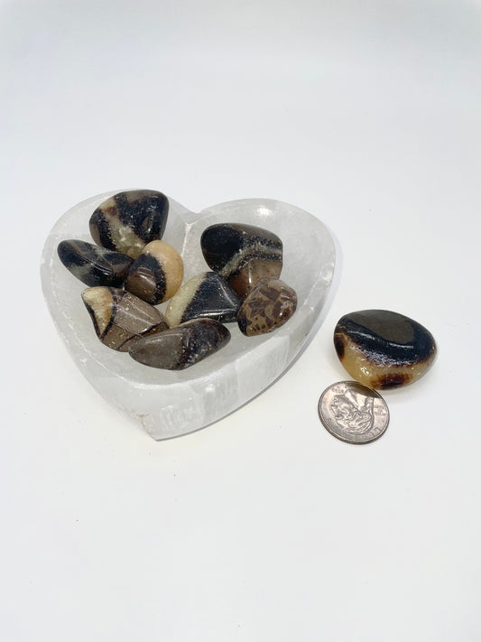 Septarian Tumble