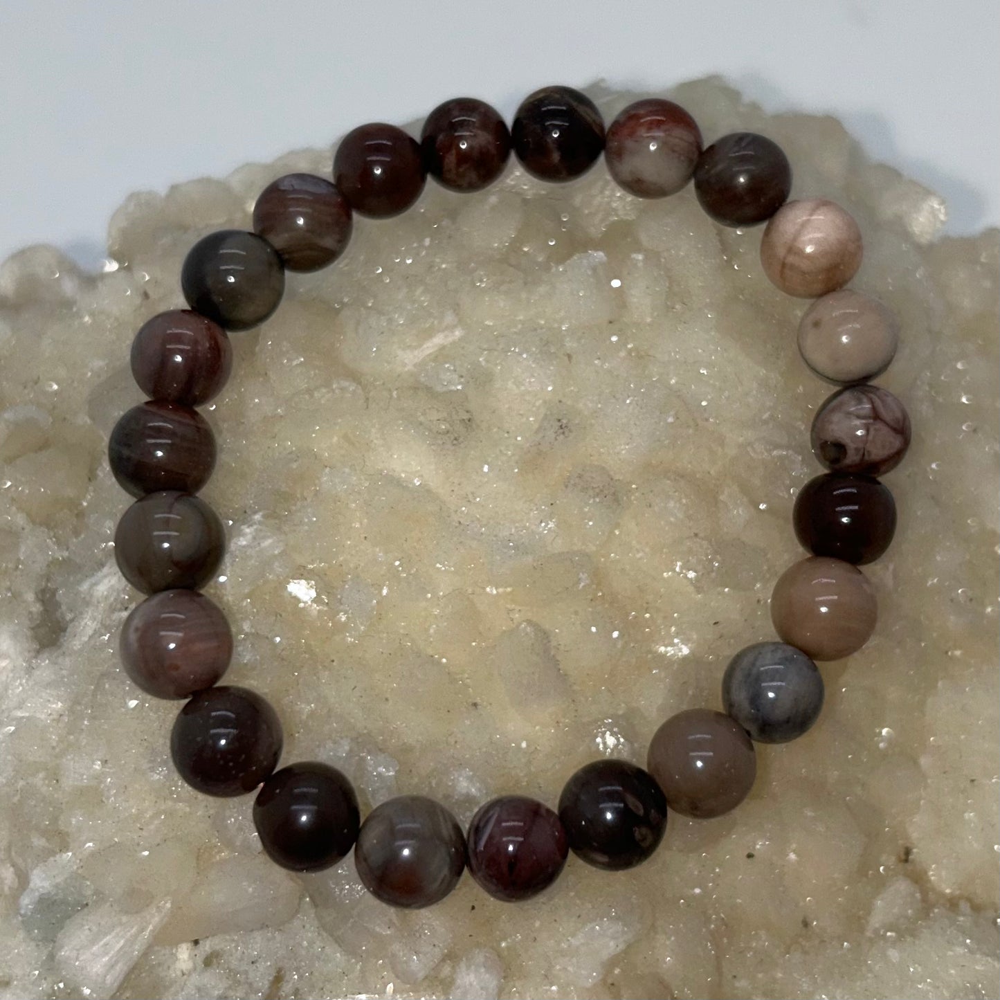 Petrified Wood 8mm