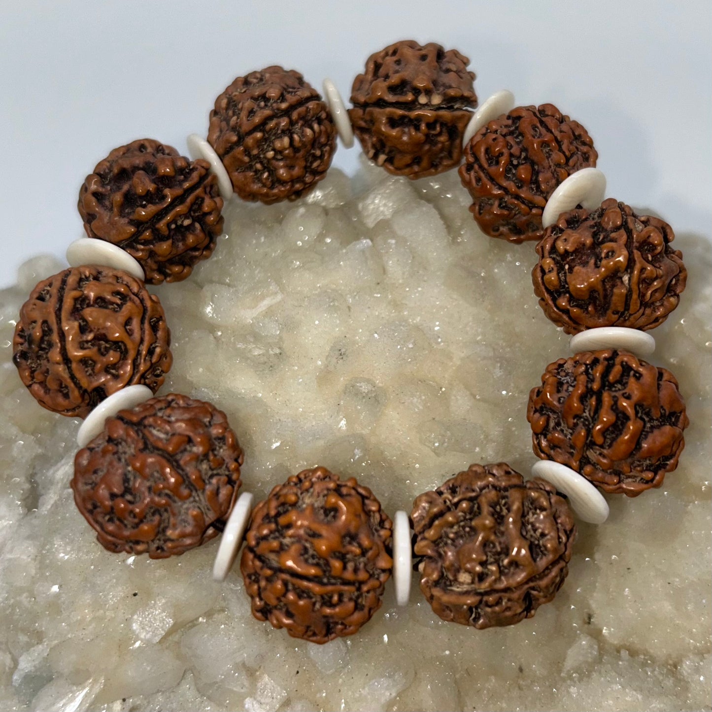 Rudraksha Seed Bracelet