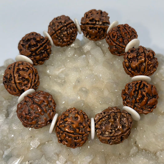 Rudraksha Seed Bracelet